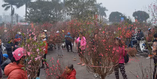 Đây cũng được coi là khu chợ hoa Tết có quy mô lớn nhất đất Hà thành vào mỗi dịp xuân về. Ảnh: VTV.