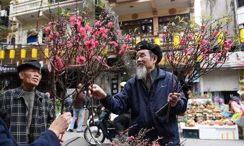 Đây là nơi những người trồng hoa, cây cảnh ở khắp các phố phường Hà Nội mang đến sản phẩm đặc trưng để bán. Ảnh: Zing.