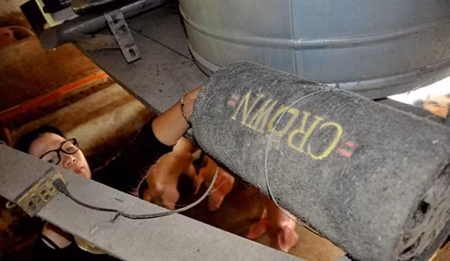 Thêm vào đó, bà Liên còn lắp một giàn nghe nhạc Pháp (dòng nhạc nhẹ nhàng, êm ái) giúp lợn xả stress cho chất lượng thịt giàu dinh dưỡng nhất có thể. Ảnh: Dân Việt.