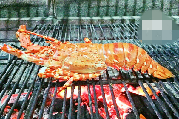 Tôm hùm bông có thể chế biến rất nhiều món ăn ngon như nướng phô mai béo, gỏi, hấp...Ảnh: Daohaisan.