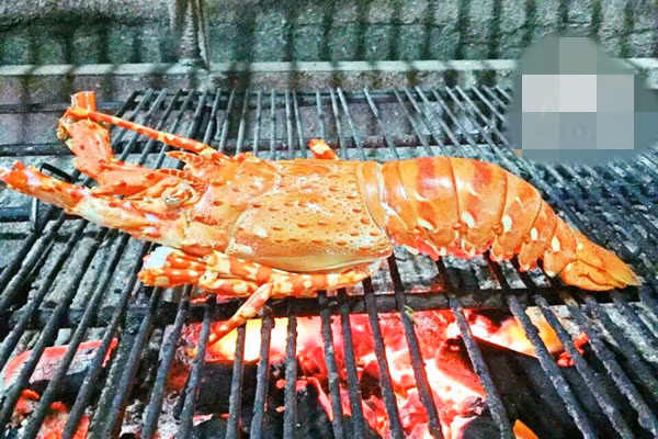 Tôm hùm bông có thể chế biến rất nhiều món ăn ngon như nướng phô mai béo, gỏi, hấp...Ảnh: Daohaisan.