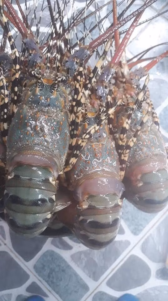 Khách hàng mua tôm chủ yếu để đãi tiệc cho người thân, bạn bè hoặc đối tác. Ảnh: Facebook.