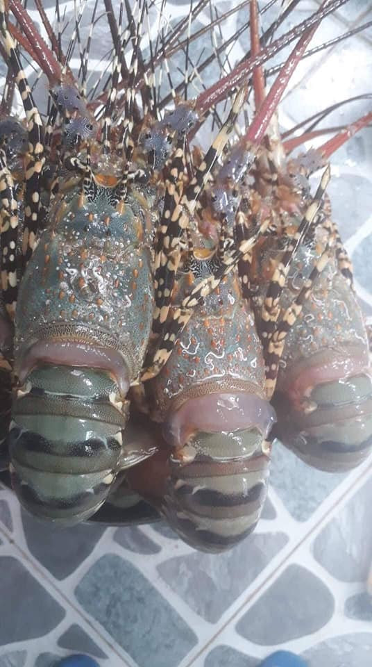 Khách hàng mua tôm chủ yếu để đãi tiệc cho người thân, bạn bè hoặc đối tác. Ảnh: Facebook.