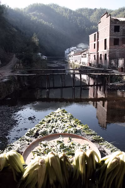 Để qua sông, người dân phải đi cây cầu nhỏ bằng tre. (Ảnh: Blogspot)