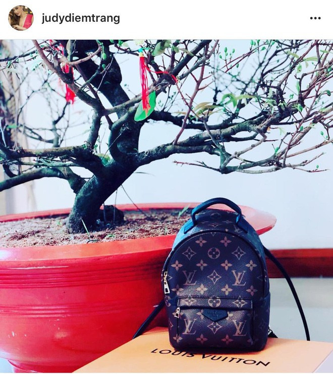 Ngày Lễ tình nhân, Diễm Trang nhận được chiếc túi nhỏ xinh hiệu Louis Vuitton từ người chồng doanh nhân. Ảnh: 2sao.