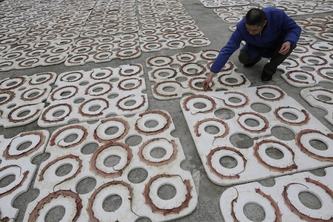 Làng Zisiquiao thuộc tỉnh Chiết Giang nổi tiếng với nghề khô rắn đầu tiên của Trung Quốc. Nơi đây sản xuất khoảng 3 triệu con rắn phơi khô mỗi năm. Ảnh: AP.