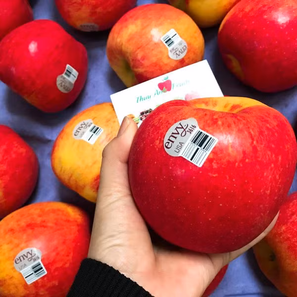 He lo nguyen nhan tao nhap khau hang thang troi khong hong, vo nhu trang mo-Hinh-2