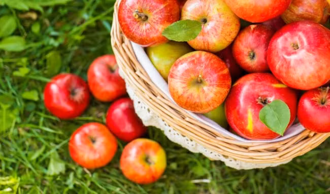 He lo nguyen nhan tao nhap khau hang thang troi khong hong, vo nhu trang mo