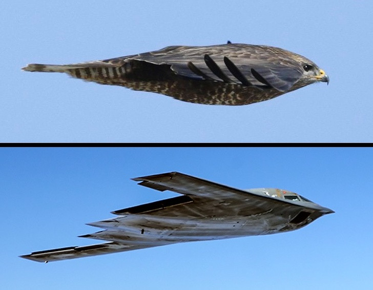 Một số máy bay có hình dạng kỳ lạ được giải thích bởi một lý do đơn giản: hình dạng này làm chúng ít bị phát hiện bởi radar, sonar, hồng ngoại và các phương pháp phát hiện khác. Thiết kế này cho phép máy bay mang theo nhiều hành lý hơn và tiêu thụ ít nhiên liệu hơn.