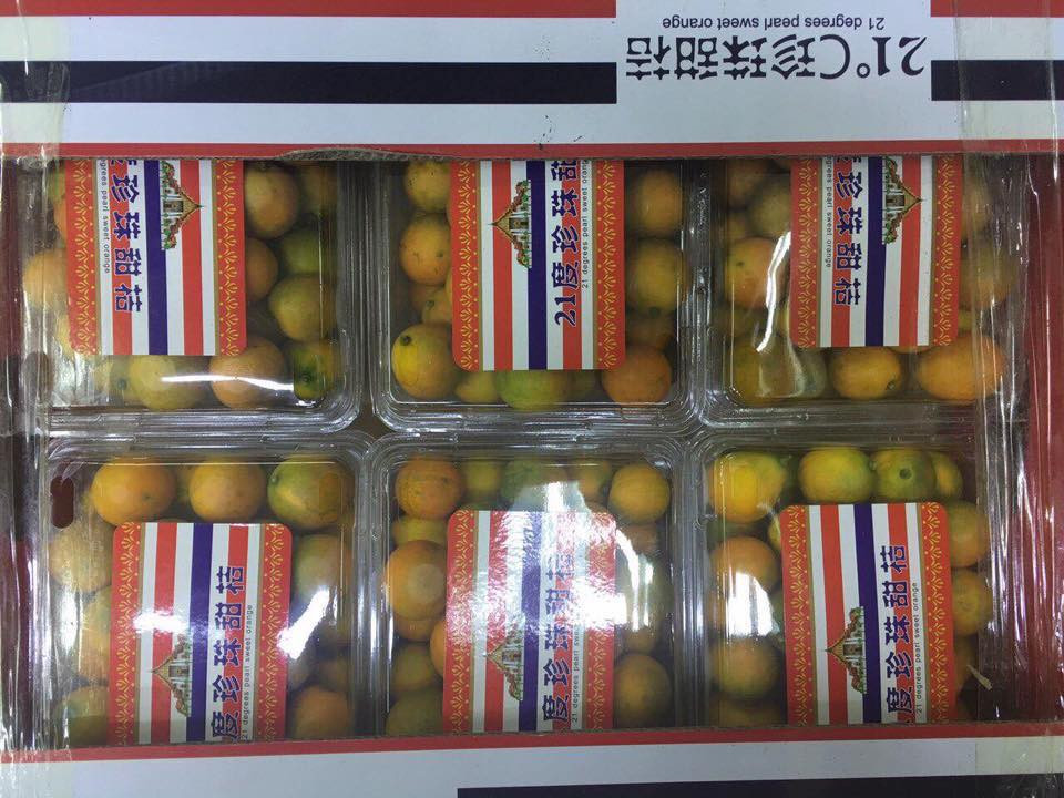 Hộp quất đóng gói sang trọng hơn thì giá bán khoảng 125.000 - 160.000 đồng/hộp. Ảnh: Hoaquauudam.