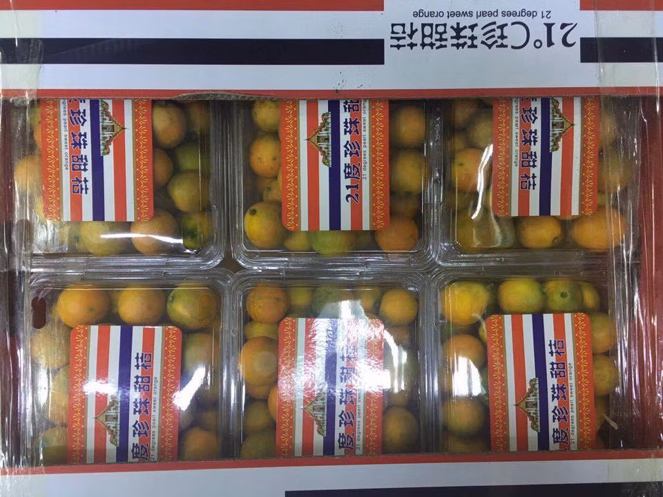Hộp quất đóng gói sang trọng hơn thì giá bán khoảng 125.000 - 160.000 đồng/hộp. Ảnh: Hoaquauudam.