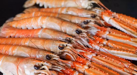 Tôm càng đỏ Na Uy loại nhỏ từ 9-12 con/kg, loại to từ 4-8 con/kg. Ảnh: Hieuhaisan.