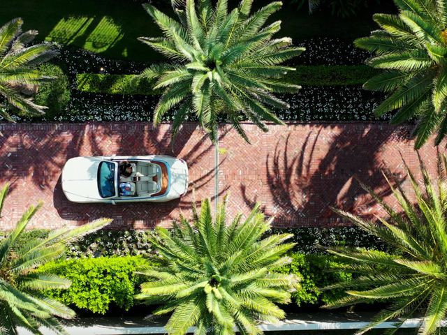 Đoạn đường lái xe, được che mát bởi những tán cây xanh.