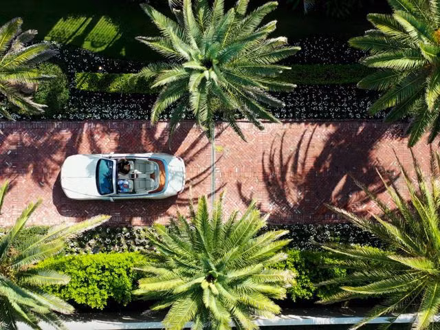 Đoạn đường lái xe, được che mát bởi những tán cây xanh.