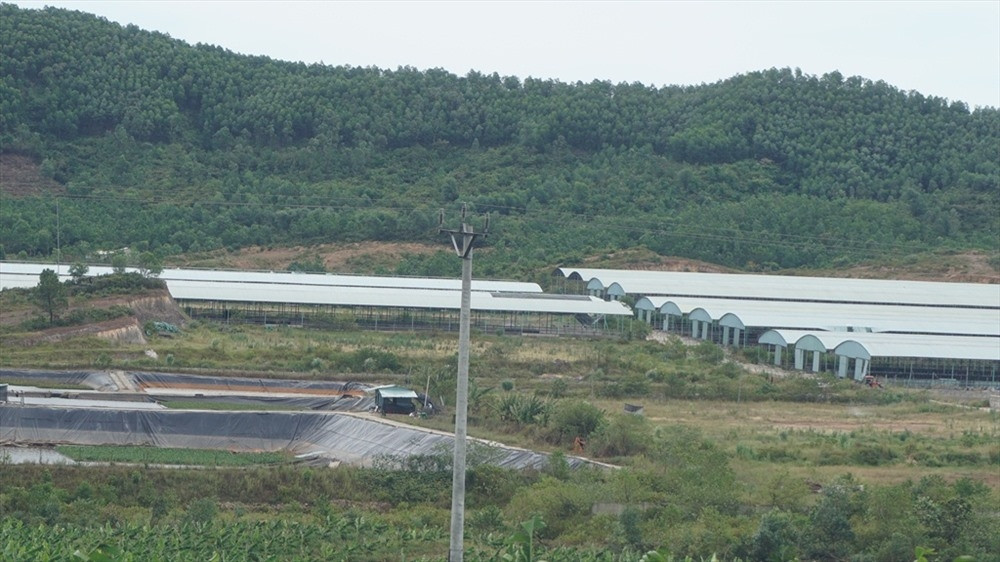 Đến ngày 13/6, Phòng Cảnh sát điều tra tội phạm về kinh tế và chức vụ (PC46), Công an tỉnh Hà Tĩnh ra quyết định khởi tố bị can, bắt tạm giam đối với Đinh Văn Dũng - Nguyên Tổng giám đốc Công ty CP Chăn nuôi Bình Hà và Nguyễn Xuân Lương - Giám đốc Cty Tân Đại Việt (Lương được phép tại ngoại và bị cấm đi khỏi nơi cư trú) với tội danh “Lạm dụng chức vụ quyền hạn chiếm đoạt tài sản”. Ảnh: Lao động.