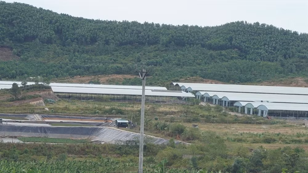 Đến ngày 13/6, Phòng Cảnh sát điều tra tội phạm về kinh tế và chức vụ (PC46), Công an tỉnh Hà Tĩnh ra quyết định khởi tố bị can, bắt tạm giam đối với Đinh Văn Dũng - Nguyên Tổng giám đốc Công ty CP Chăn nuôi Bình Hà và Nguyễn Xuân Lương - Giám đốc Cty Tân Đại Việt (Lương được phép tại ngoại và bị cấm đi khỏi nơi cư trú) với tội danh “Lạm dụng chức vụ quyền hạn chiếm đoạt tài sản”. Ảnh: Lao động.