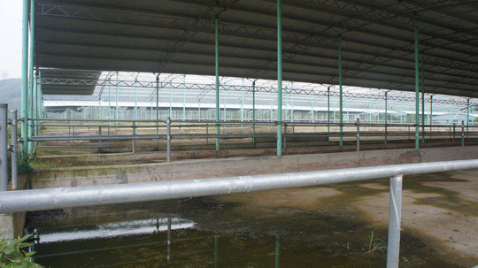 Quá trình điều tra, CQĐT xác định Đinh Văn Dũng và Nguyễn Xuân Lương đã cấu kết nâng khống khối lượng, chiếm đoạt hơn 110 tỷ đồng khi thực hiện dự án chăn nuôi Bình Hà. Ảnh: Người lao động.