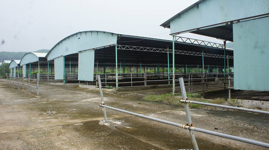 Liên quan đến dự án chăn nuôi bò của Công ty CP Chăn nuôi bò Bình Hà, tháng 5/2019, UBND tỉnh Hà Tĩnh có văn bản yêu cầu các cơ quan, ban ngành liên quan tiến hành rà soát tổng thể dự án nghìn tỷ liên quan tới cha con ông Trần Bắc Hà. Ảnh: Người lao động.