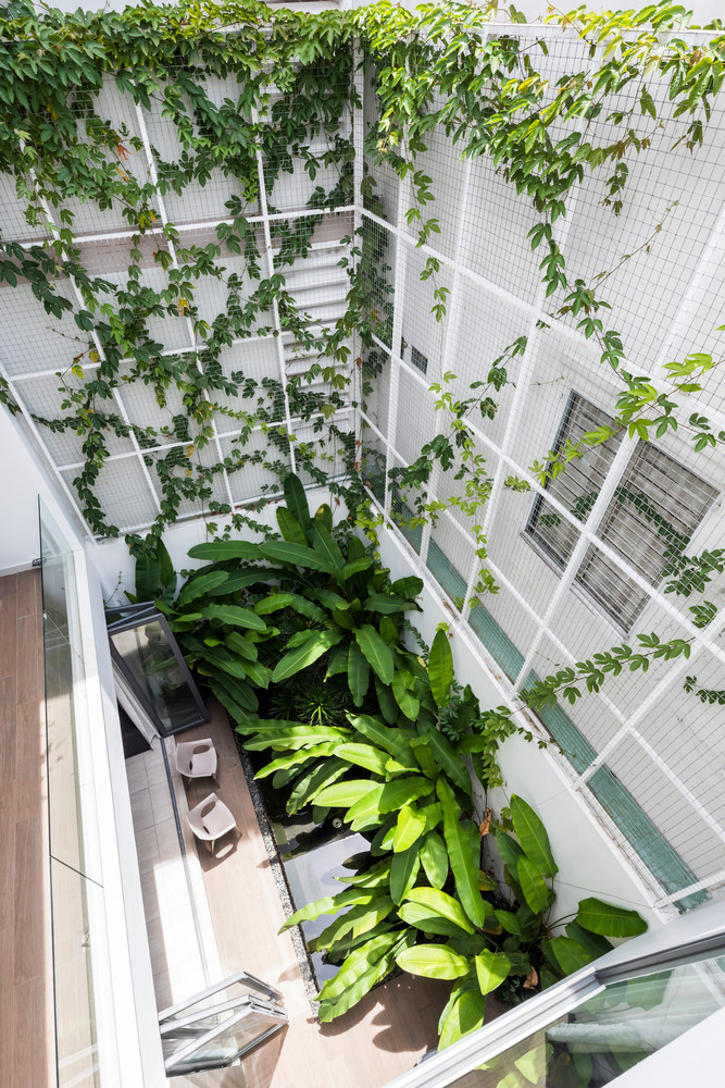 Khu vườn nhỏ nhìn từ trên cao. Nguồn ảnh: Hiroyuki Oki.