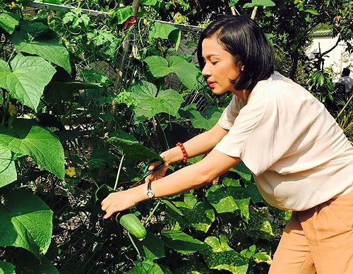 Những lúc rảnh rỗi, người đẹp lại dành thời gian chăm lo cho nhà cửa, vườn tược.