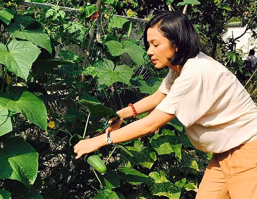 Những lúc rảnh rỗi, người đẹp lại dành thời gian chăm lo cho nhà cửa, vườn tược.