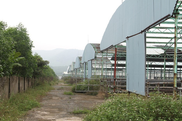 Du an tai tieng nao lien quan den con trai ong Tran Bac Ha?