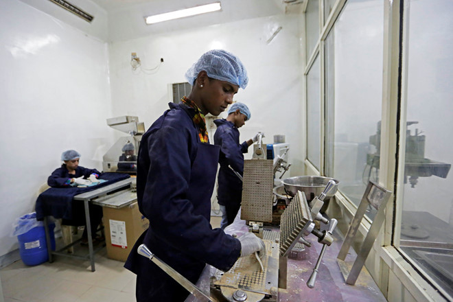 Lấy nước tiểu bò là công việc mang lại thu nhập cao nhưng việc làm không hề dễ dàng.