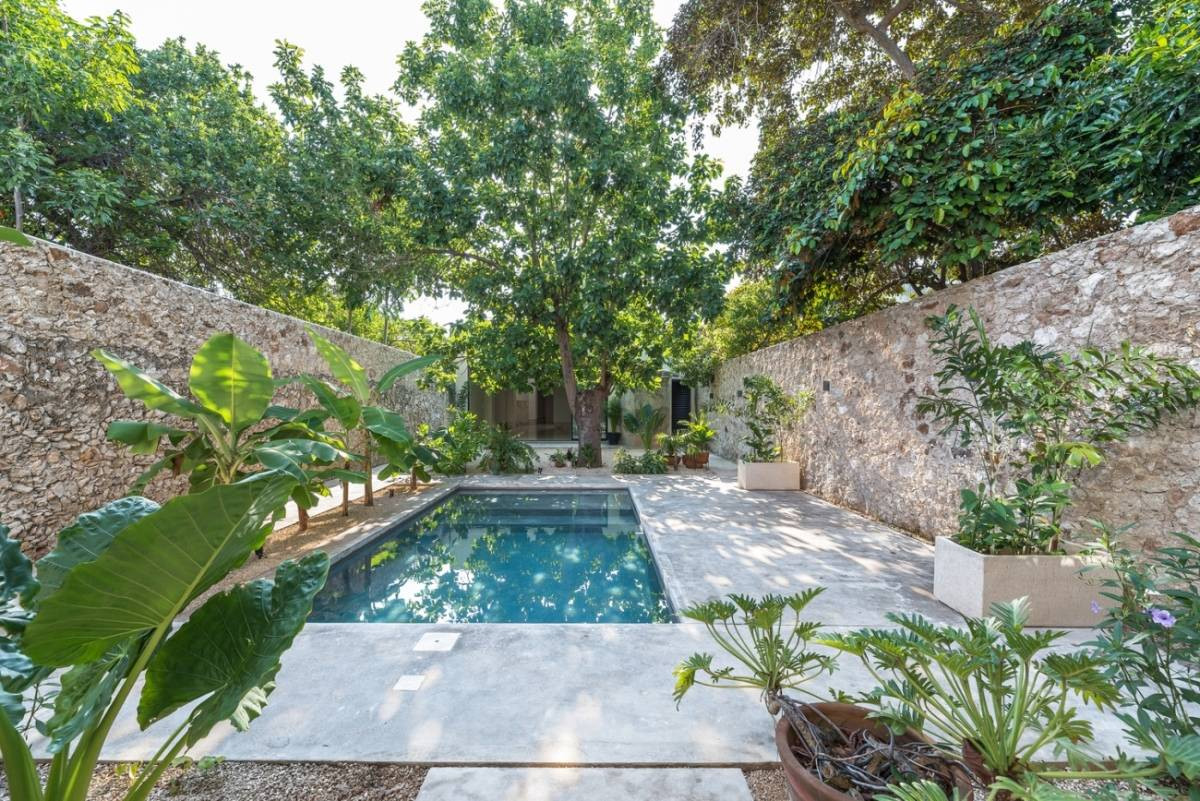 Vườn cây xanh mướt bên ngoài.