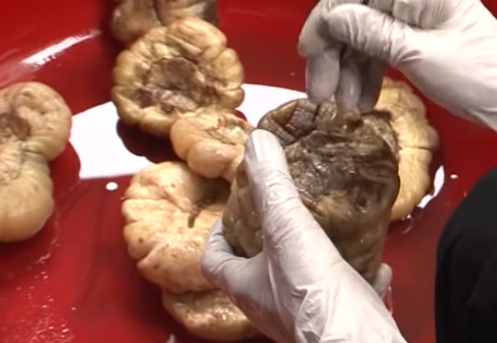 Để ép sạch nước cần phải chọn những quả cà có kích thước bằng nhau. Nếu kích thước không bằng nhau sẽ dẫn đến việc quả thì không hết nước, quả lại bị ép bẹp. Ảnh: VTC16.