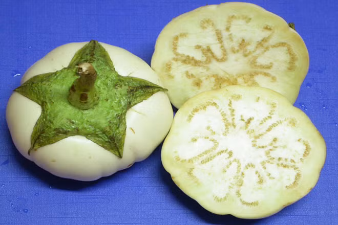 Cà để dầm tương phải là cà bát trắng, quả to, tròn đều và hái trong những ngày nắng đẹp. Nếu hái khi trời mưa cà sẽ không ngon. Ảnh: Webnauan.