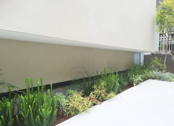 Nền sân nhà cao hơn hẳn các bồn cây bắt mắt. Ảnh: Homify.