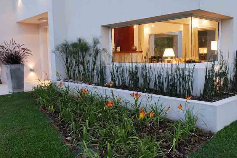 Trồng cây cao trang trí sát tường sẽ tạo ấn tượng cho mặt tiền đồng thời phù hợp kiến trúc hiện đại. Ảnh: Sanvuondep.