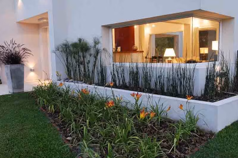 Trồng cây cao trang trí sát tường sẽ tạo ấn tượng cho mặt tiền đồng thời phù hợp kiến trúc hiện đại. Ảnh: Sanvuondep.