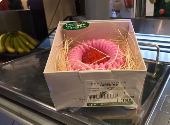 Dâu tây Kotoka được trồng ở Nara, gần Osaka (Nhật Bản). Ảnh: Time Magazine.