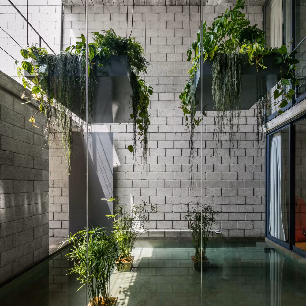 Khu vườn nước trong trẻo.