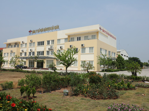 Vi pham chung khoan, Banh keo Hai Chau bi phat hon 400 trieu-Hinh-2