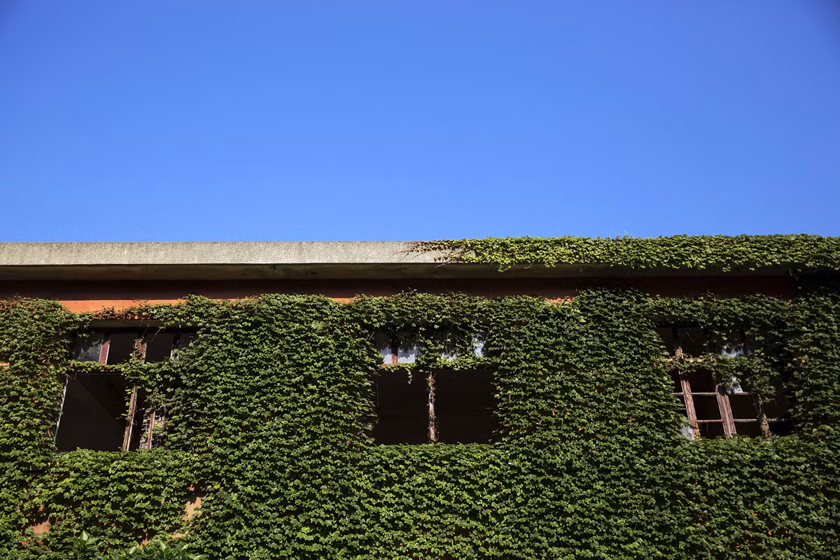 Trong năm 2017, riêng du lịch mang lại hơn 100.000 USD cho khu vực này.