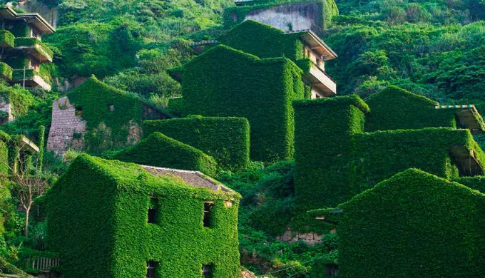 Sau nhiều thập kỷ vắng bóng người, những ngôi nhà trong làng vẫn tồn tại và được phủ xanh bởi các loài cây dại.