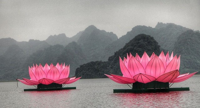 Mặt hồ trước lễ đài đã được hạ thủy 7 đóa hoa sen, tượng trưng cho 7 bước đi của Phật. Ảnh: Lao động.