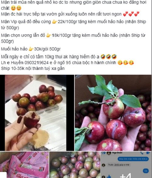 Chưa vào mùa mận hậu nhưng trên các chợ mạng đã có rất nhiều người rao bán. Tuy nhiên, do đầu mùa số lượng còn ít nên giá mận khá đắt. Ảnh chụp màn hình Facebook.