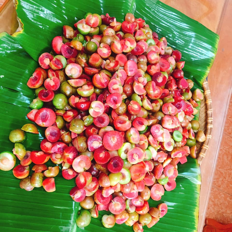 Chị Hoài ở Ba Đình (Hà Nội) cho biết: "Gần đây trên mạng rao bán nhiều mận hậu trái mùa. Vì thích vị chua, giòn nên tôi đã 2 lần đặt mua. Nhưng do giá hơi đắt, mỗi lần tôi chỉ dám mua nửa kg". Ảnh: FB Mai Hoàng.