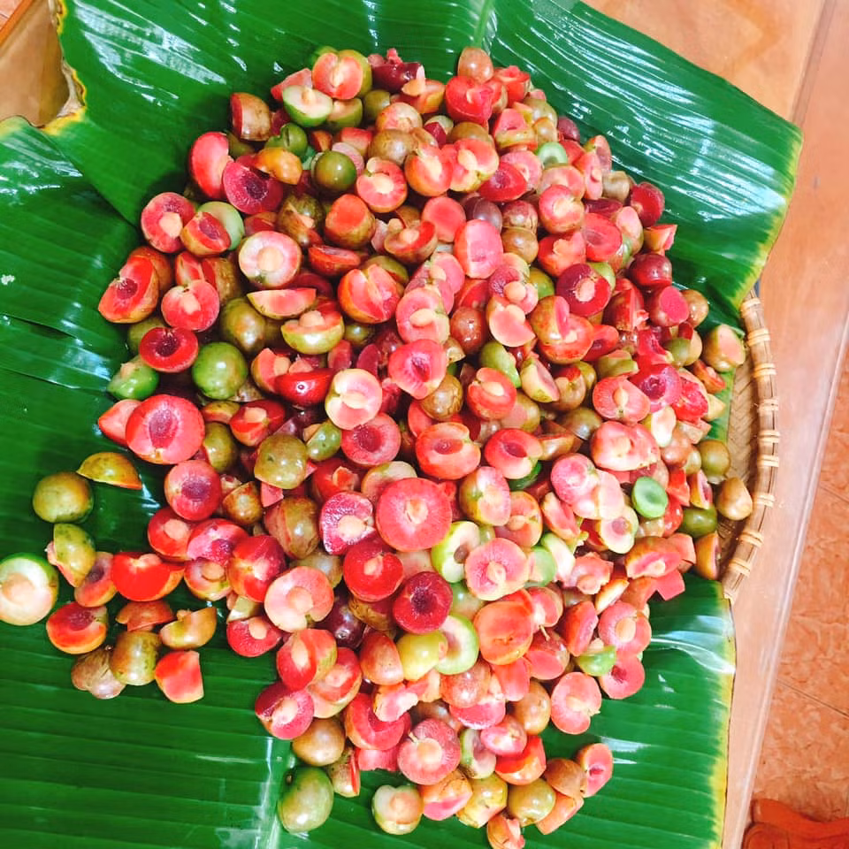 Chị Hoài ở Ba Đình (Hà Nội) cho biết: "Gần đây trên mạng rao bán nhiều mận hậu trái mùa. Vì thích vị chua, giòn nên tôi đã 2 lần đặt mua. Nhưng do giá hơi đắt, mỗi lần tôi chỉ dám mua nửa kg". Ảnh: FB Mai Hoàng.