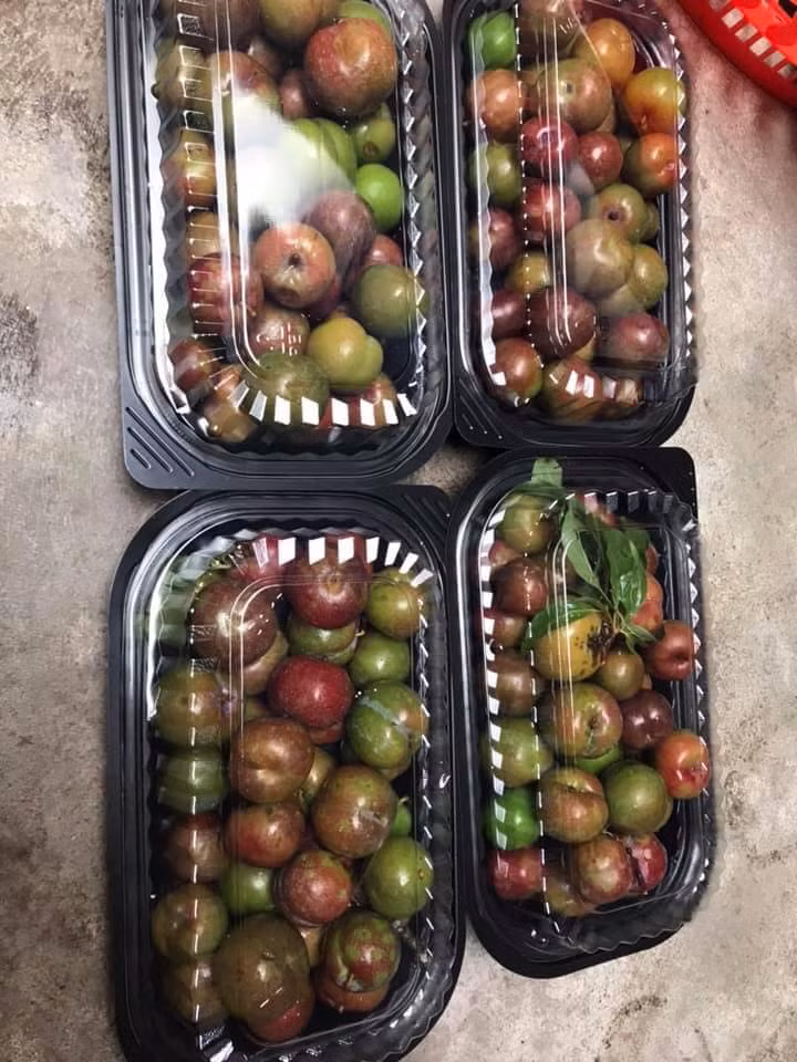 Trong kho đó, chị Lan Anh (một người bán) cho biết vài tuần nay đã bán được mấy chục kg mận trái mùa. Mỗi đơn hàng không nhiều như bù lại chị lại có nhiều đơn hàng. Ảnh: FB Mận hậu Mộc Châu.