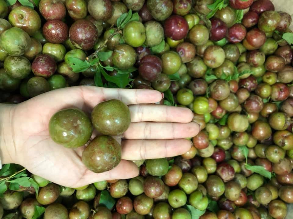 Những quả mận căng mọng, nhẵn bóng được chị em mua bán rầm rộ trên mạng xã hội. Ảnh: Facebook.