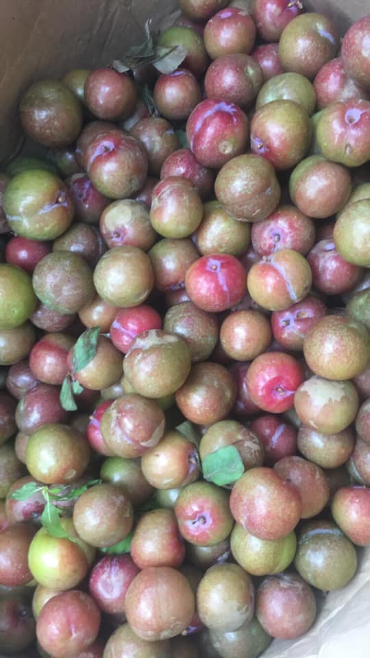 Mặc dù giá chát nhưng nhiều chị em vẫn sẵn sàng rút hầu bao để mua. Ảnh: Facebook.