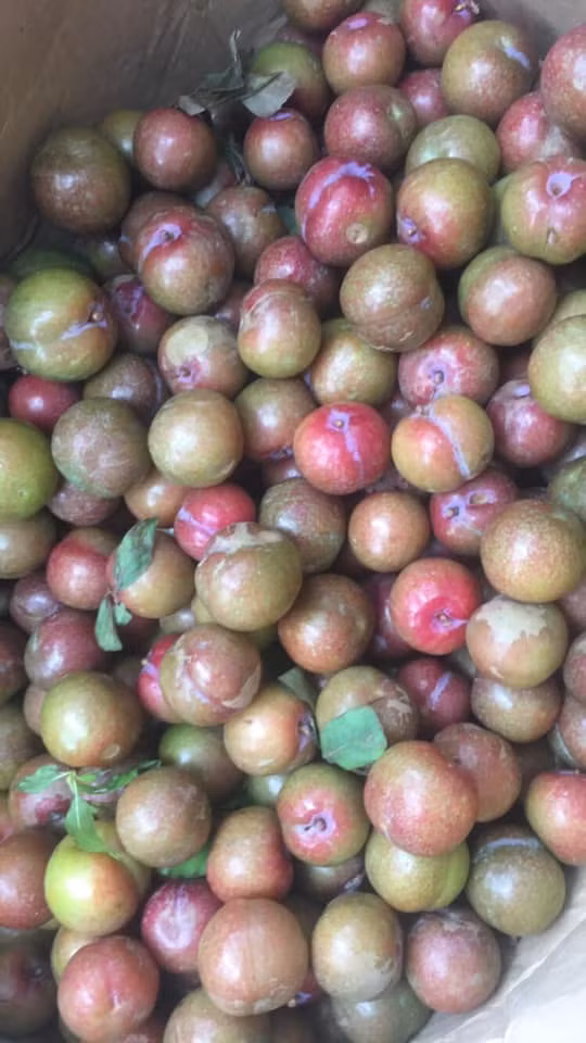 Mặc dù giá chát nhưng nhiều chị em vẫn sẵn sàng rút hầu bao để mua. Ảnh: Facebook.