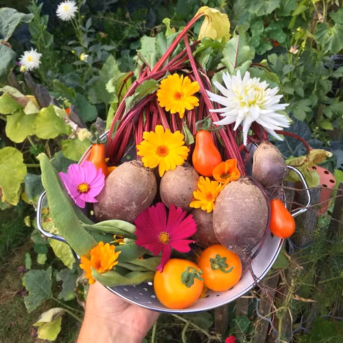 Sản phẩm của Arthur sau mỗi lần thu hoạch tại vườn nhà. Nguồn ảnh: HWGF.