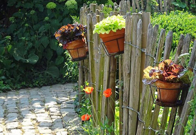 Không chỉ vậy, Arthur còn tự tay làm hàng rào gỗ, treo chậu hoa trang trí cho khu vườn nhỏ.