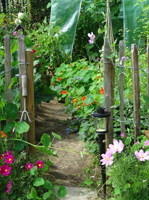 Arthur cũng trồng nhiều loại hoa cho vườn rau thêm rực rỡ.