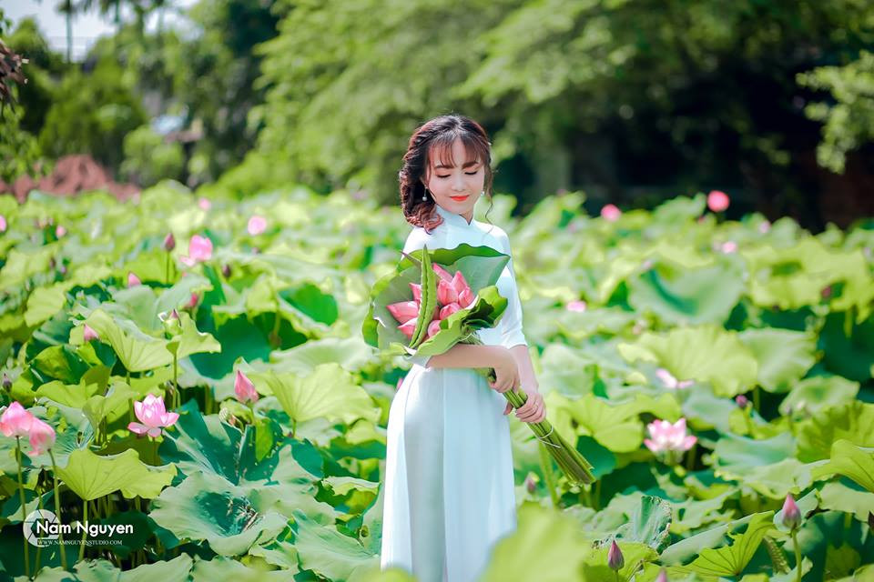 Nắm bắt được nhu cầu của giới trẻ, nhiều chủ đầm sen ở Hà Nội mỗi mùa lại mở dịch vụ bán vé cho khách vào tham quan và chụp ảnh.